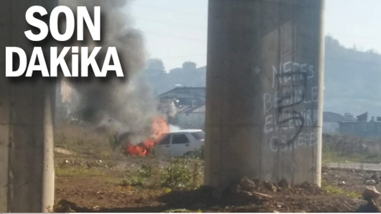 Seyir halindeki araç alev alev yandı