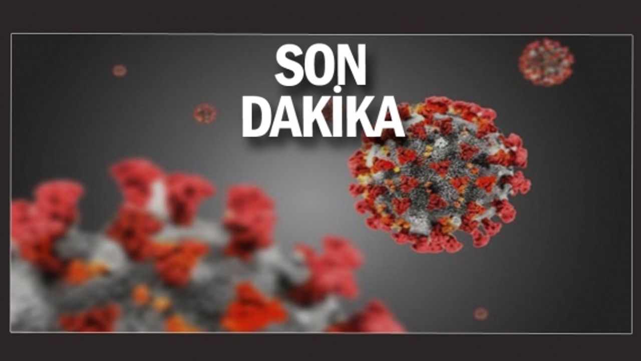 Milyonlar bu haberi bekliyor! Türk bilim insanından corona ilacı tavsiyesi...