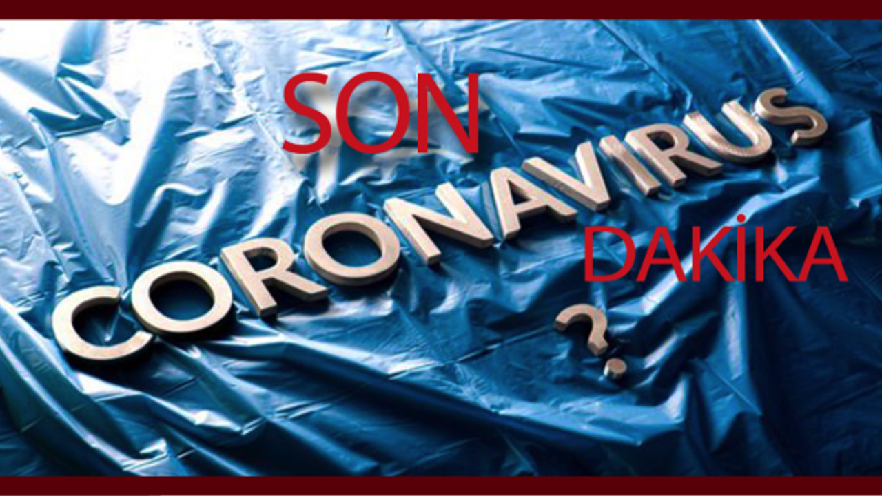 Corona virüsü yendiler..