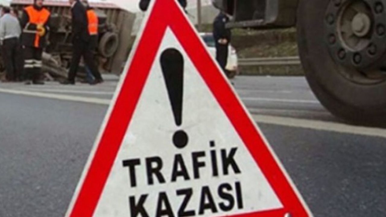 Tomruk yüklü kamyon tren yoluna yuvarlandı: 2 Ölü, 2 yaralı
