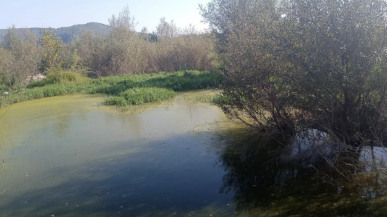 Çaycuma Belediyesi'nin kanalizasyon atığını OSB arıtma tesisine döktüğü iddia edildi