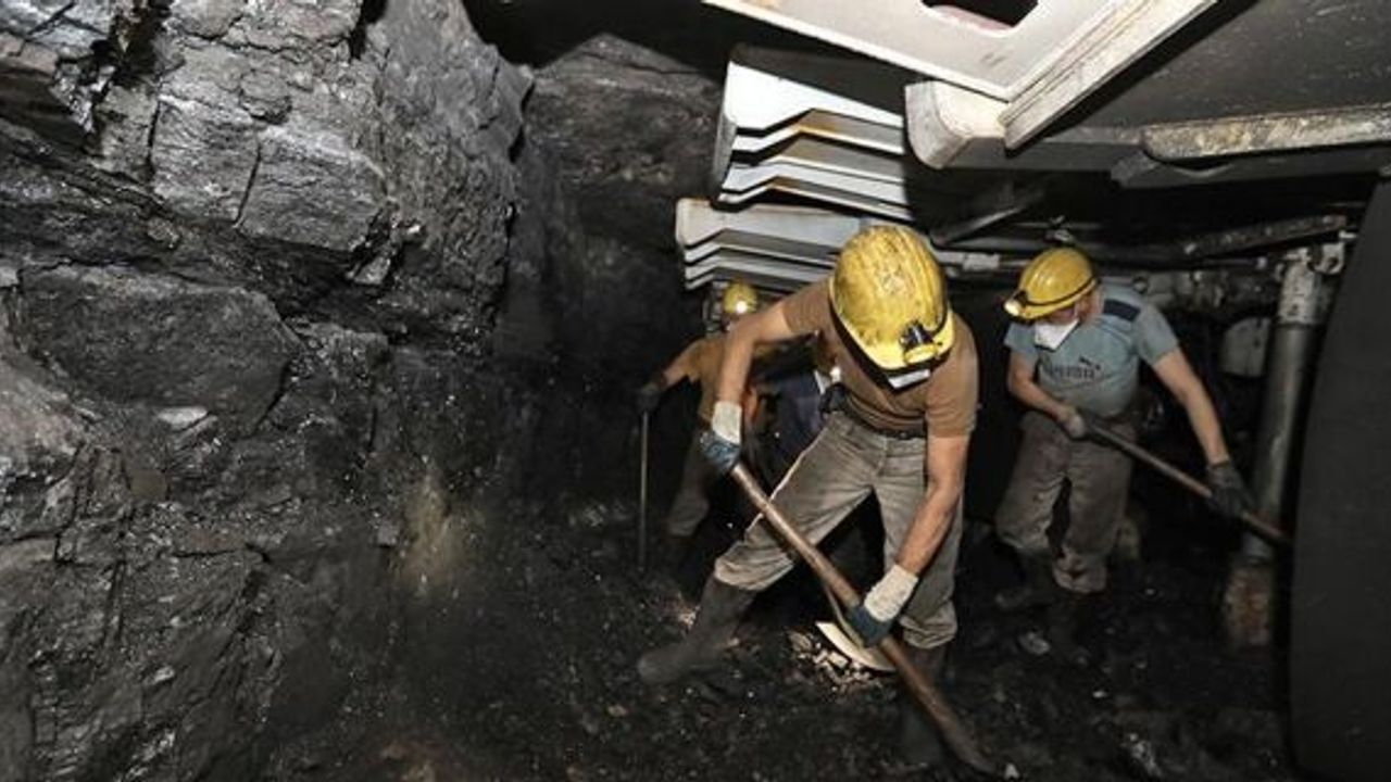 Üretilmeyi bekleyen 1 milyar 500 milyon ton taşkömürü rezervi var