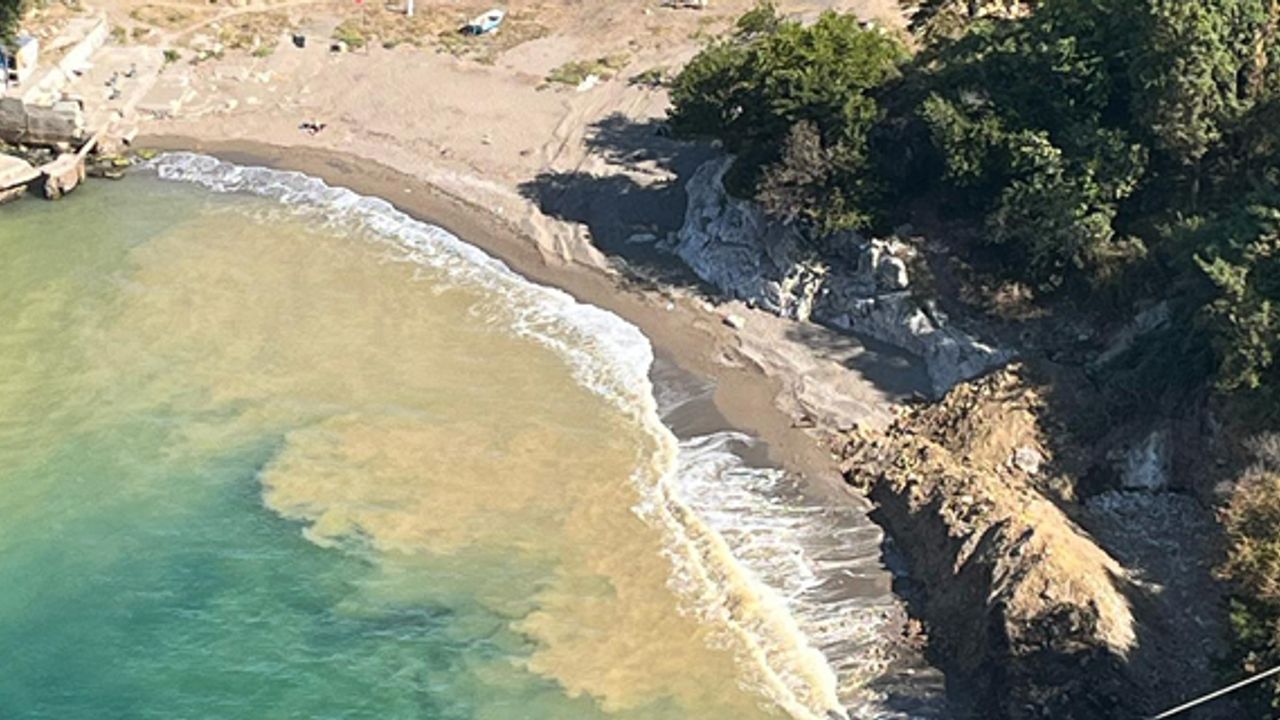 Çevre Müdürlüğü ceza kesmişti: orta Kapuz sahilinin son hali tepkilere yol açtı