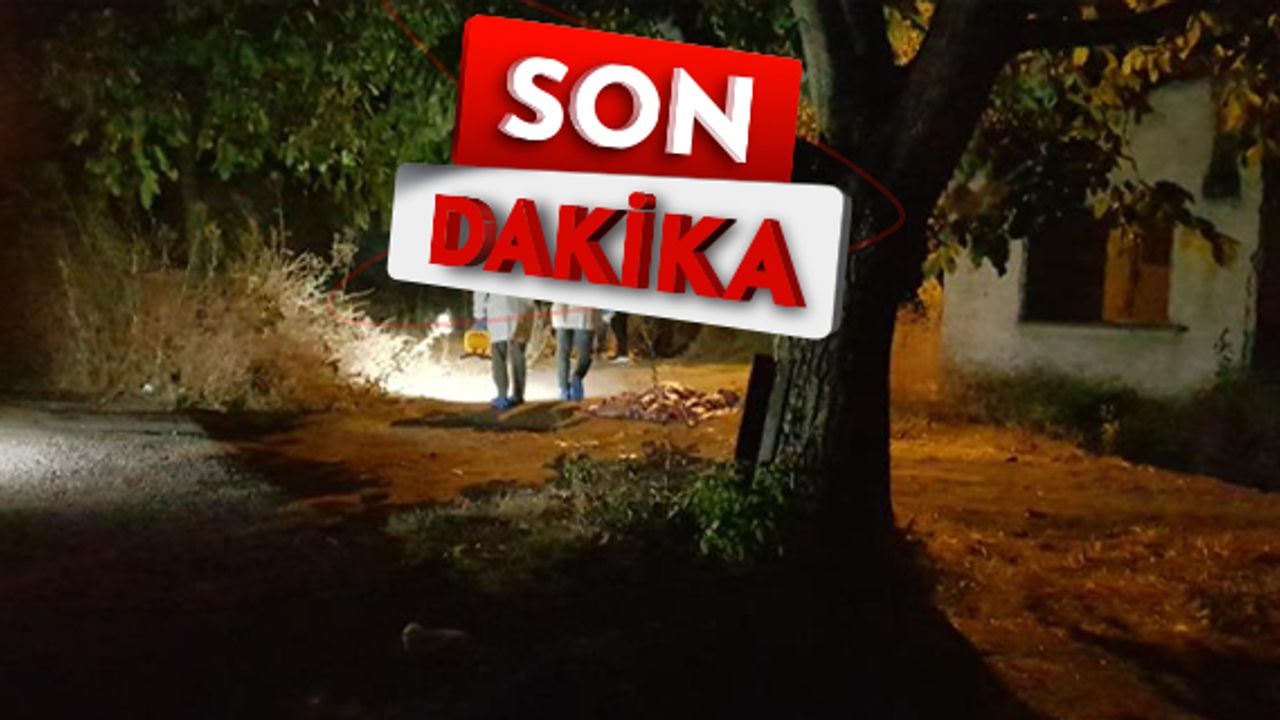 Katil koca, 2 eşini de katletti!