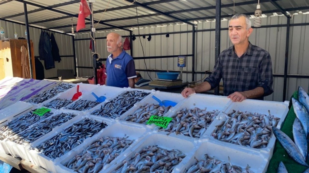 Zonguldak’ta balık fiyatları yeniden yükselişe geçti