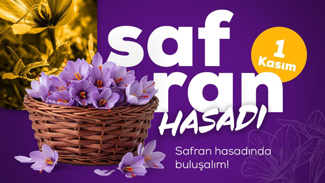 Safranbolu’da Morun ve Dayanışmanın Hasadı: Anadoludakiler’den Safran İmecesi