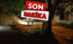 Katil koca, 2 eşini de katletti!