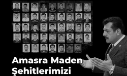 Muammer Avcı, 43 maden işçisini andı