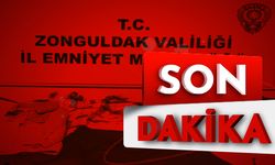 4 Ayrı işyerinde hırsızlık yapan iki Rus, serbest bırakıldı...