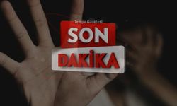 Cinsel istismar suçundan aranan şahıs Jandarma'ya yakalandı