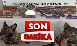 Esrar, silah, av tüfeği yakalandı: Serbest bırakıldı…                                                                 