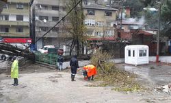 Okul bahçesine ağaç devrildi, demir kapı zarar gördü...
