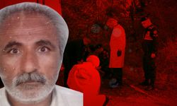 Ormanda bulunan cesedin ardından 6 şüpheli gözaltında