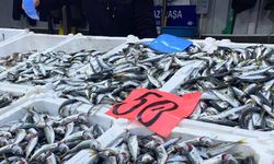 Balık fiyatları yine yükselişe geçti