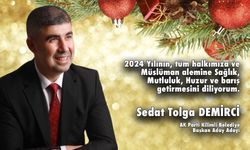 Sedat Tolga Demirci, Yeni Yılı Kutladı