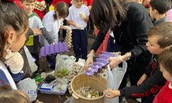 Eko-Okullar Timi, atıklarla kompost hazırladı
