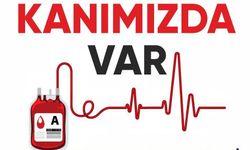 ‘İyilik kanımızda var’