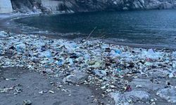 Karadeniz atılan çöpleri Tersane Plajı'na attı!