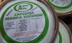 Zonguldak, Manda Yoğurdunu kaptırmaz!