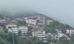 Zonguldak'ta yoğun sis etkili oldu...