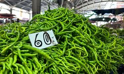 Domates, biber, patlıcan: İşte pazar fiyatları...