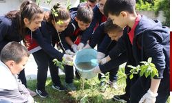 Öğrenciler Maden Müzesi'nin bahçesinde fidan dikti