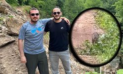 Ormanlık alanda yaban kedisi cep telefonu ile görüntülendi