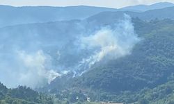 Kastamonu'da bir orman yangını daha çıktı