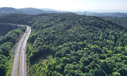 Zonguldak Valiliği orman yangınlarına karşı uyardı