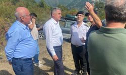 AK Parti Milletvekili Bozkurt, yangın bölgesinde