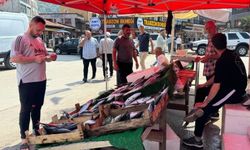 Palamut 100 liradan tezgahta yerini aldı