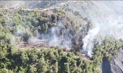 Zonguldak'ta fındık bahçesinde çıkan yangın araziye sıçradı