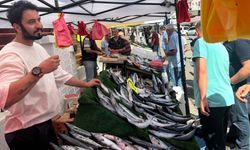 Zonguldak‘ta dün 40 liradan satılan palamut yeniden yükselişe geçti