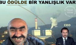 Bu ödüldü yanlışlık var: Zehir saçan termik santrale ödülü ABD veriyor!