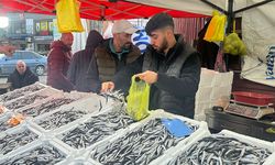 Palamut çıktı, hamsi düştü