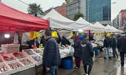 Zonguldak'ta hamsi tezgahları şenlendirdi