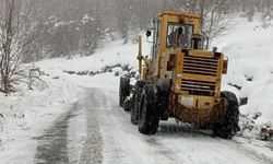 Zonguldak'ta köy ve karayollarında son durum