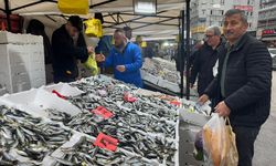 Zonguldak’ta istavrit fiyatında düşüş yaşandı