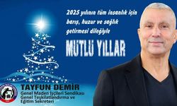 Tayfun Demir'den yeni yıl mesajı