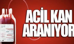 Acil kan aranıyor