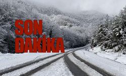 Ulaşıma kapanan 185 köy yolu 95’e düştü