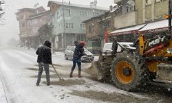 Belediye ekipleri kar yağışına karşı seferber oldu