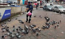 Sokak canları unutulmadı