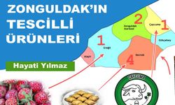 Zonguldak'ın tescilli ürünleri