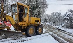 Zonguldak'ta 163 köy yolu ulaşıma kapandı