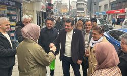 AK Parti, kadınlara özel fidan hediye etti