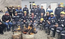 Cumhurbaşkanı imzaladı: Çayırhan madenleri satıldı