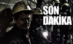 TTK ve MTA çalışanları bu günde Madenci Anıtı'nda