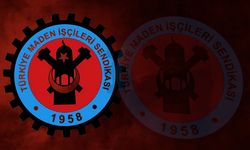 Türkiye, kendi madenlerini kendi çıkarmalıdır