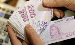 Emekliye sıfır zam: TÜİK, AİHM’ye doğru